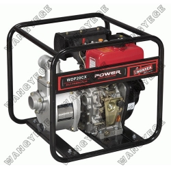 Diesel Water Pump